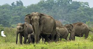 नौ करोडमा सिनेमा हल खोल्दै दीपक–दीपा